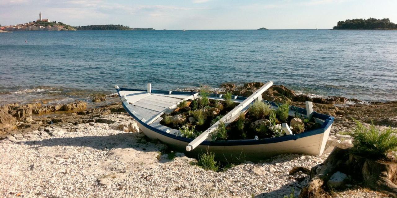 Haus Roko Apartment Rovinj Exterior foto